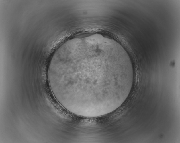 X0000115590354200912011508