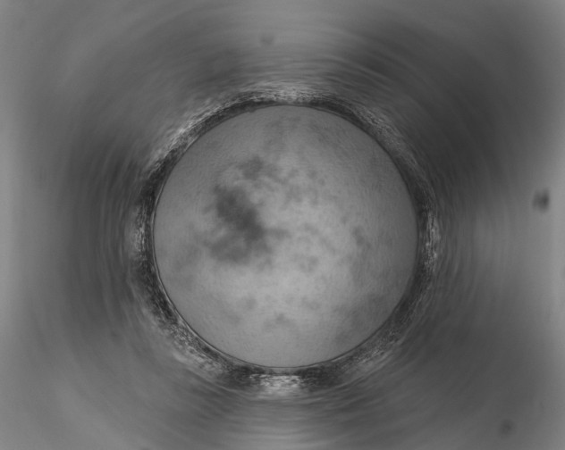 X0000115590355200912011508
