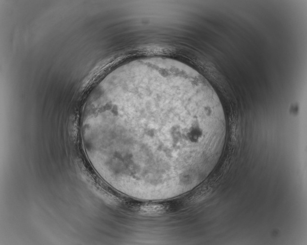 X0000115590357200912011508