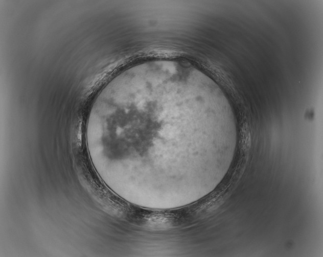 X0000115590358200912011508