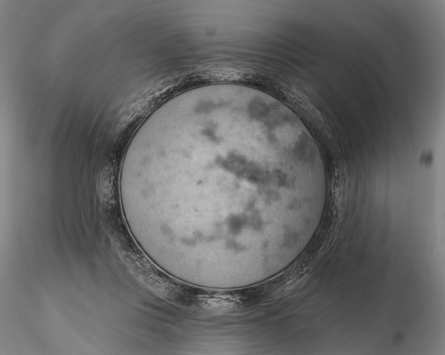 X0000115590359200912011508