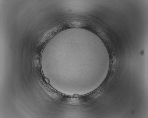 X0000115590361200912011508