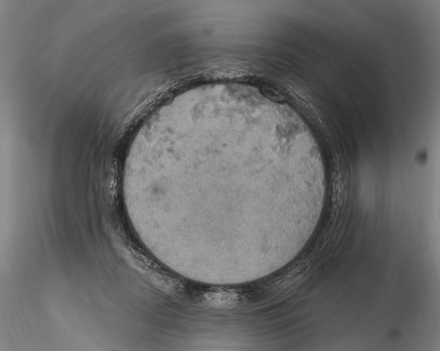 X0000115590362200912011508