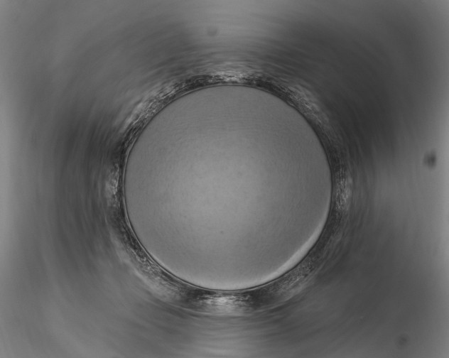X0000115590365200912011509
