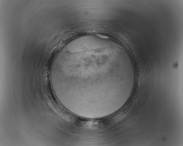 X0000115590366200912011509