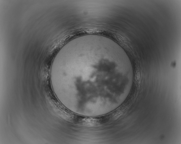 X0000115590367200912011509