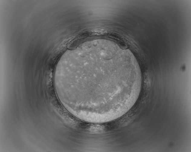 X0000115590369200912011509