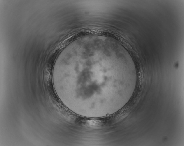 X0000115590371200912011509