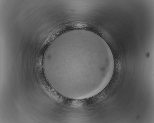 X0000115590373200912011509