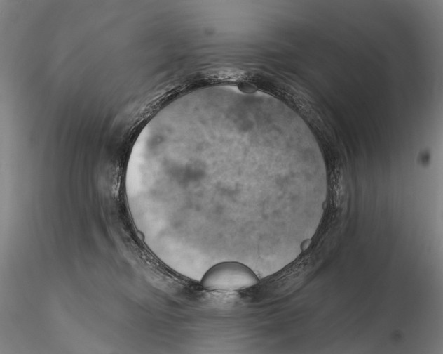 X0000115590374200912011509