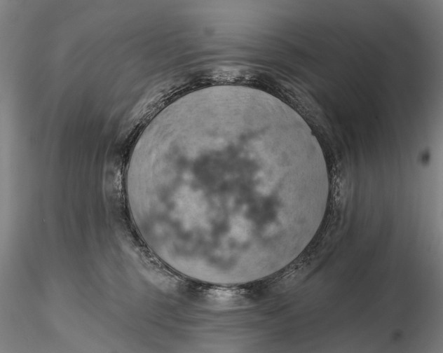 X0000115590375200912011509