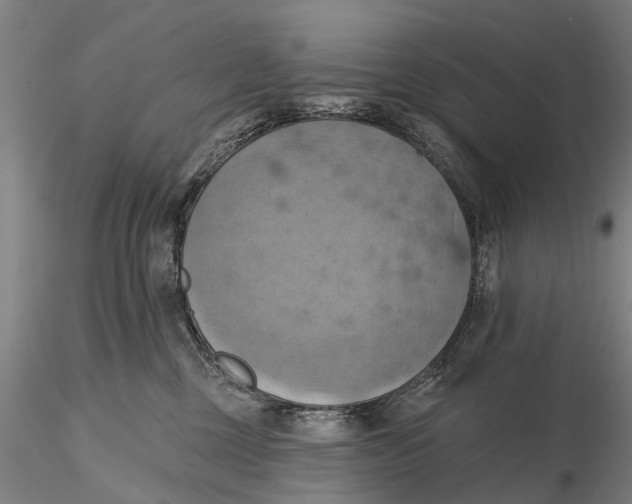 X0000115590377200912011509