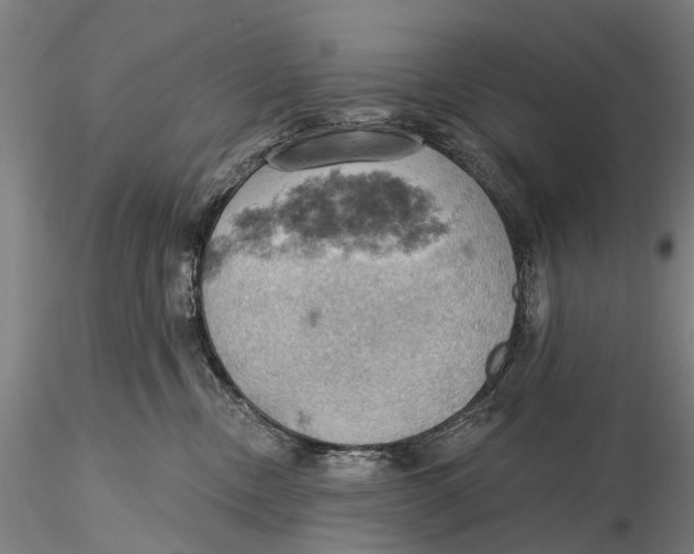 X0000115590378200912011509