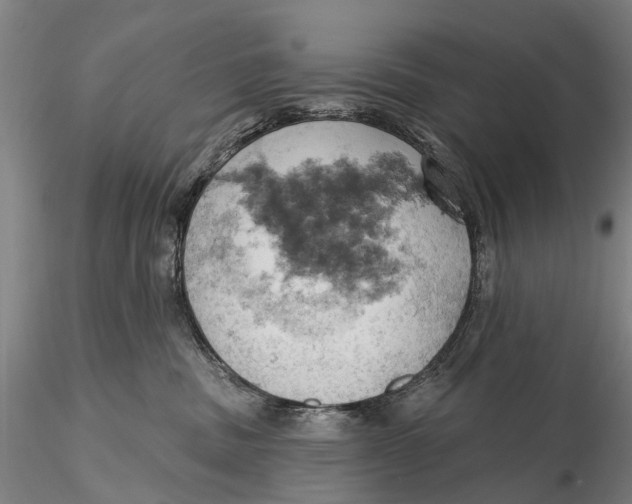 X0000115590379200912011509