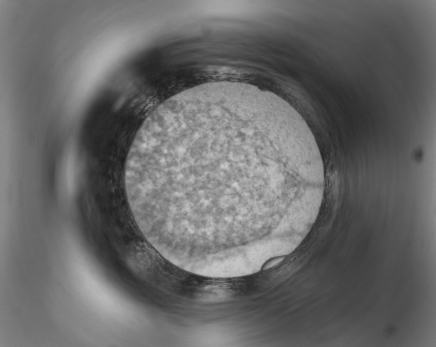 X0000115590381200912011509