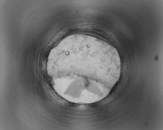 X0000115590382200912011509