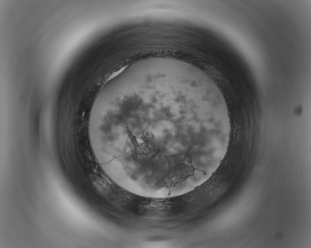 X0000115590383200912011509
