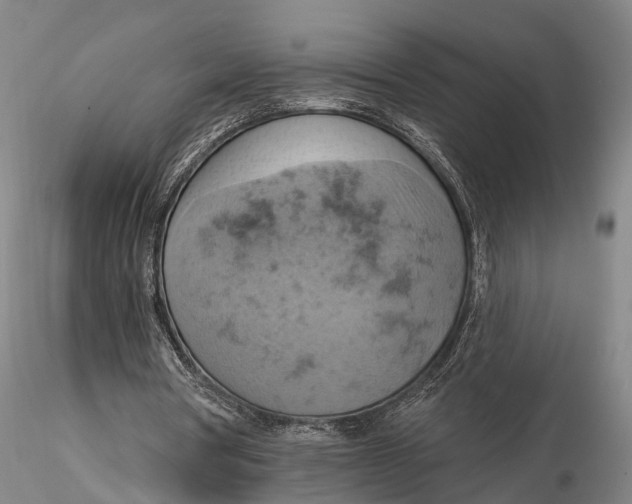 X0000115590386200912011508