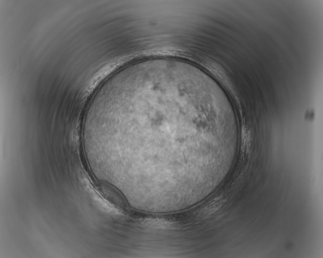 X0000115590389200912011508