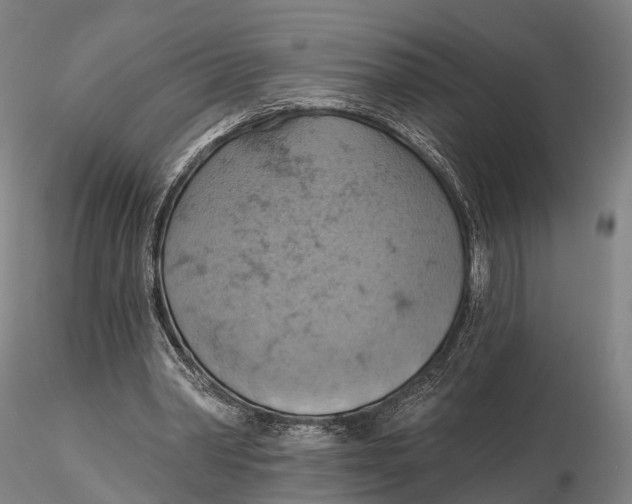 X0000115590390200912011508