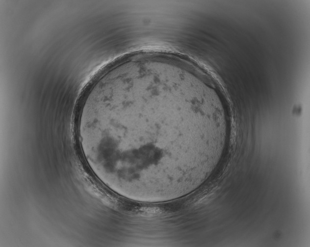 X0000115590391200912011508