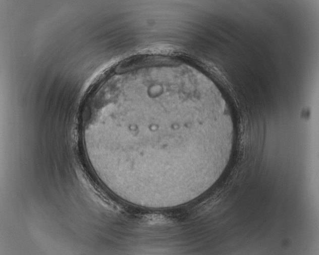 X0000115590392200912011508