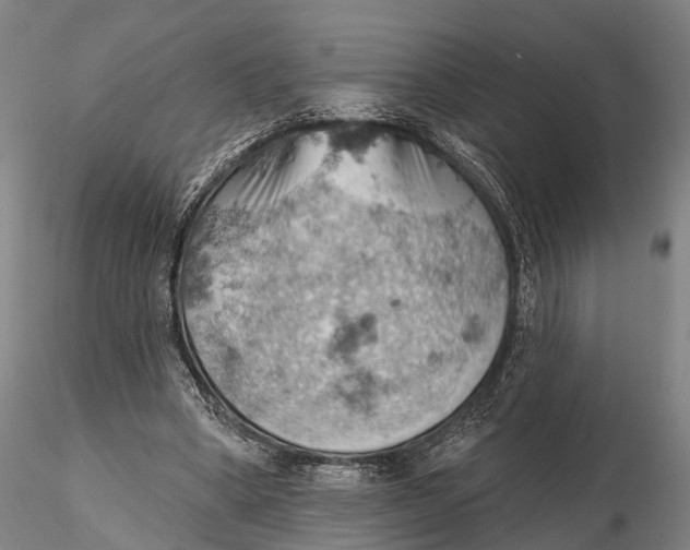 X0000115590394200912011508