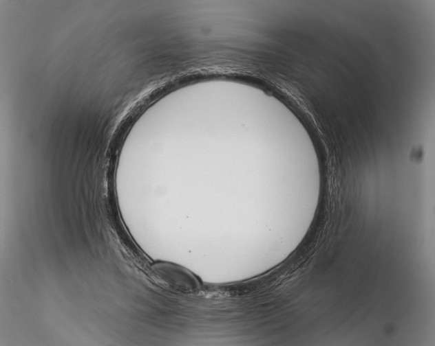 X0000115590395200912011508