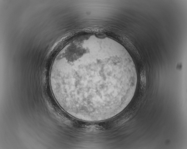 X0000115590396200912011508