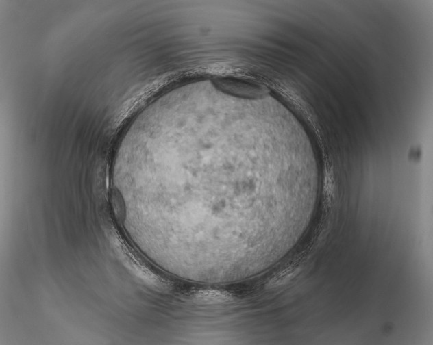 X0000115590397200912011508