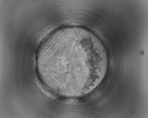 X0000115590398200912011508