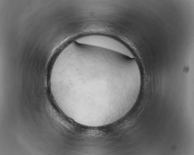 X0000115590399200912011508