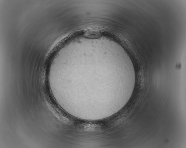 X0000115590400200912011508