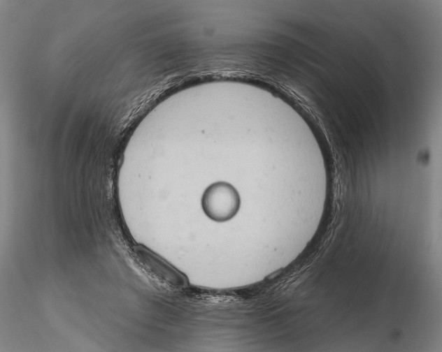 X0000115590401200912011508