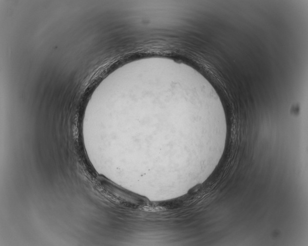 X0000115590403200912011508