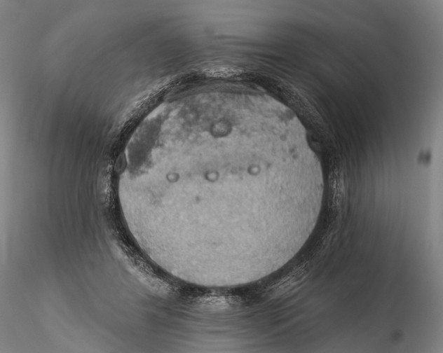 X0000115590404200912011508