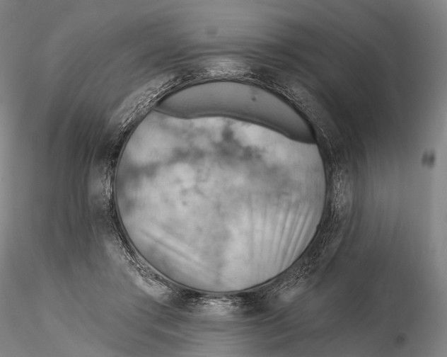 X0000115590405200912011508