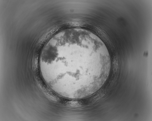 X0000115590406200912011508