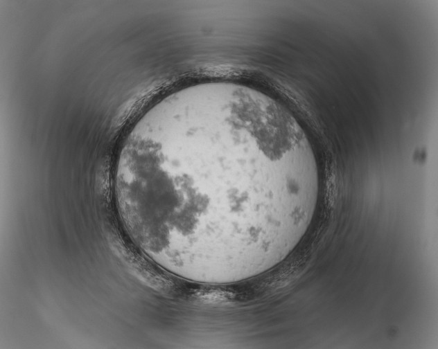 X0000115590407200912011508
