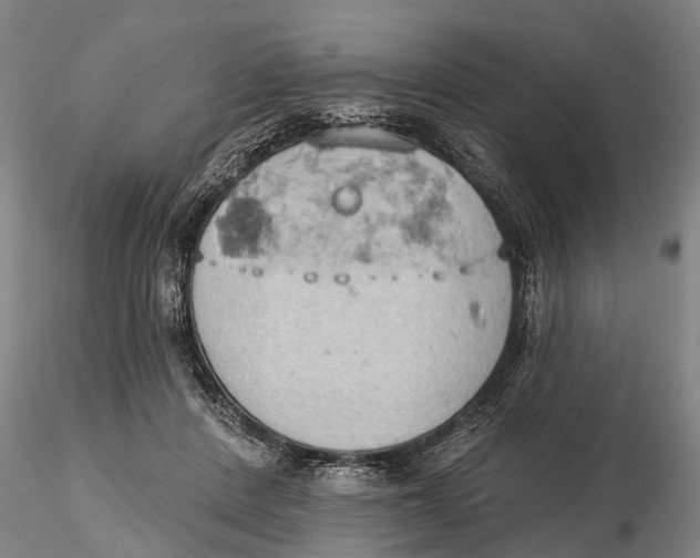 X0000115590408200912011508