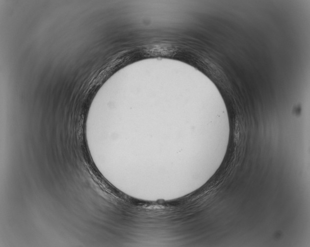 X0000115590409200912011508