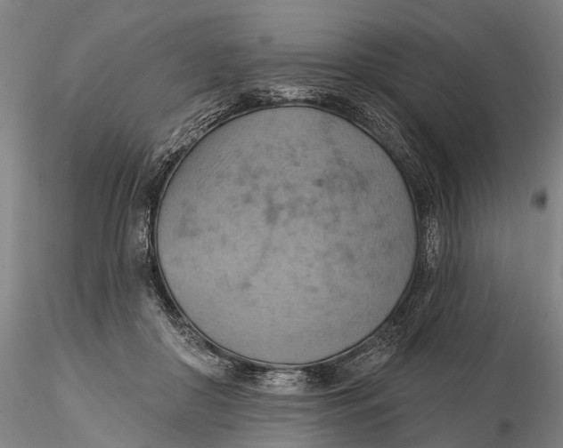X0000115590410200912011508