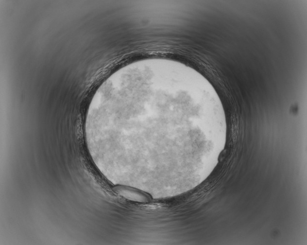 X0000115590411200912011508