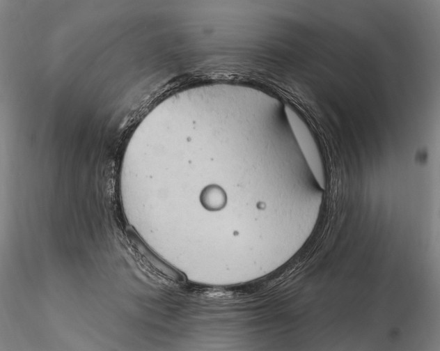 X0000115590413200912011508