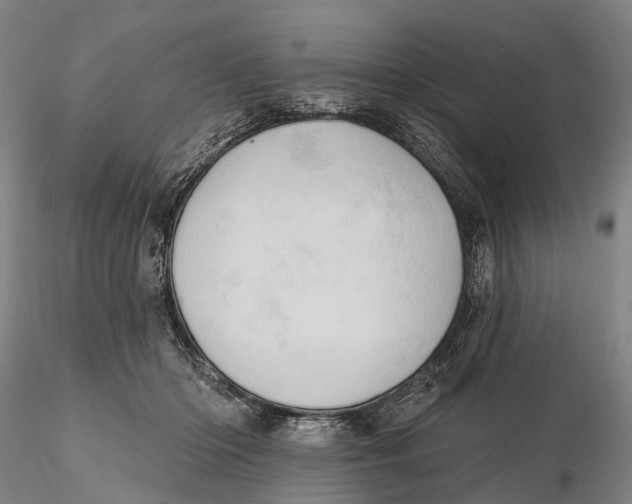 X0000115590414200912011508
