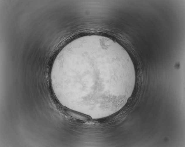 X0000115590415200912011508