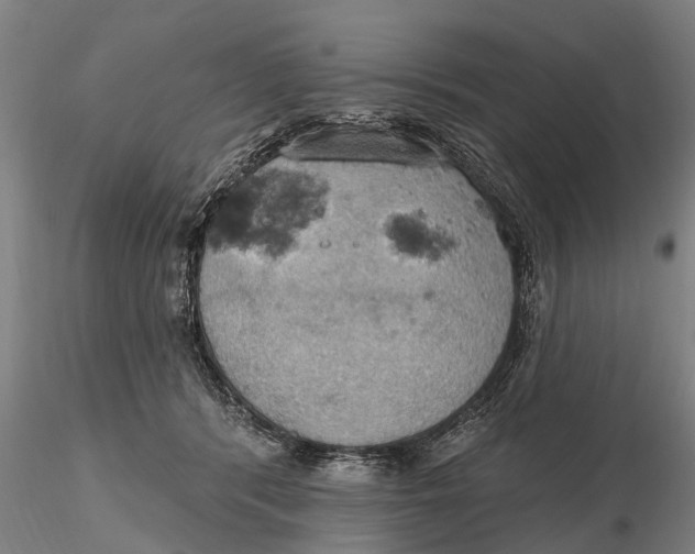 X0000115590416200912011508
