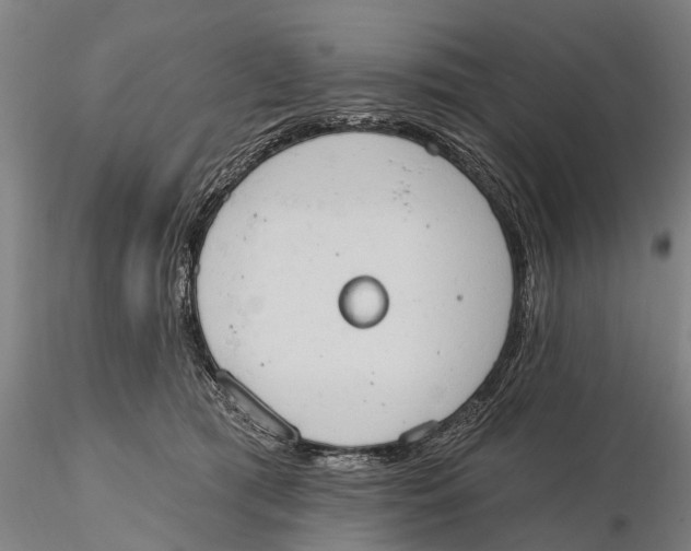 X0000115590417200912011508