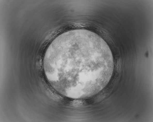 X0000115590418200912011508