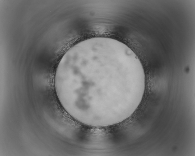 X0000115590419200912011508